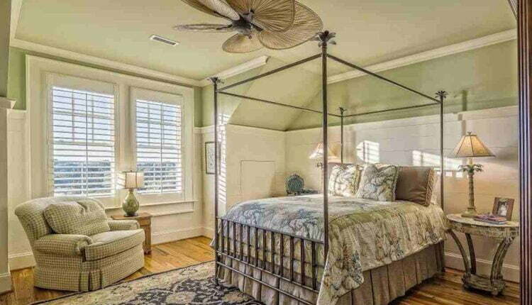 How to Naturally Get Rid of Bed Bugs