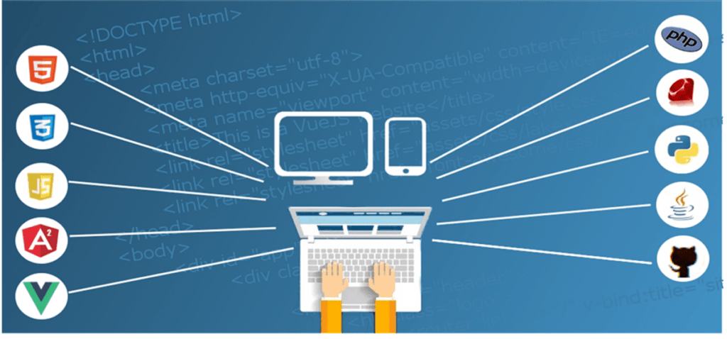 Shared Web Hosting