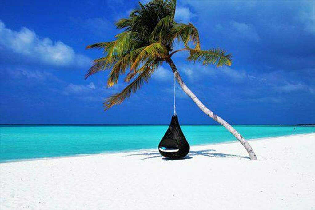 Trusted Travel Reviews