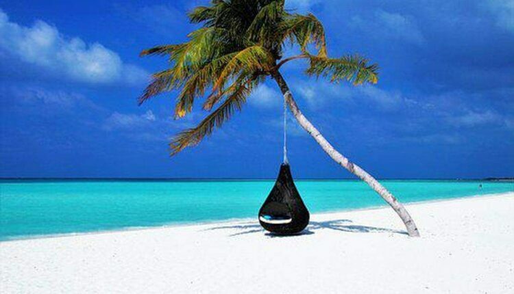 Trusted Travel Reviews