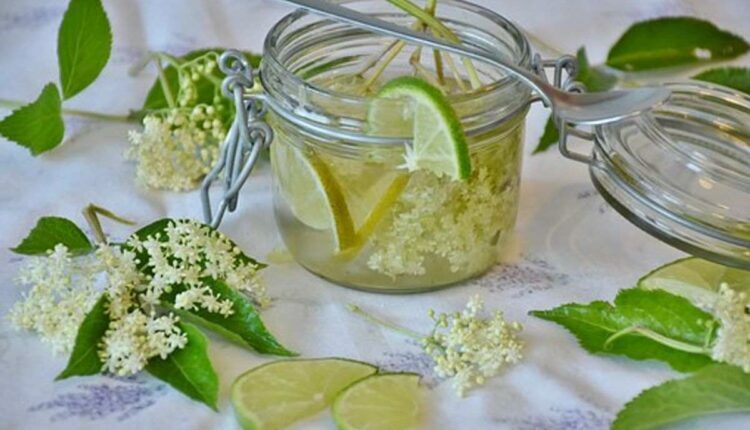 Citrus Juicer Reviews