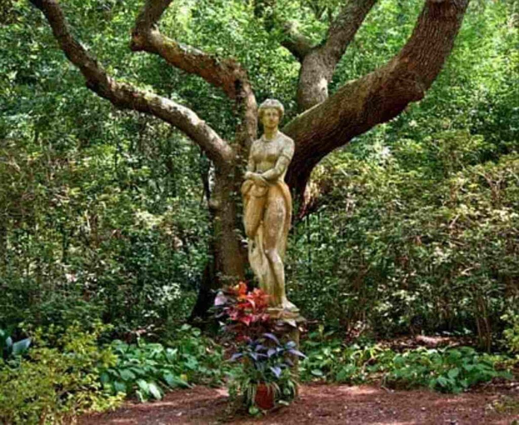 sculpture garden