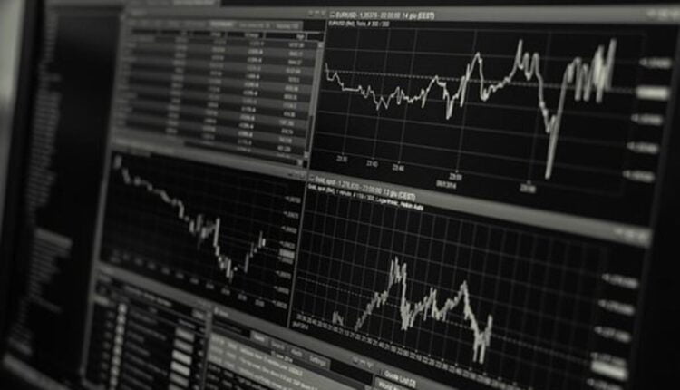 robo forex review
