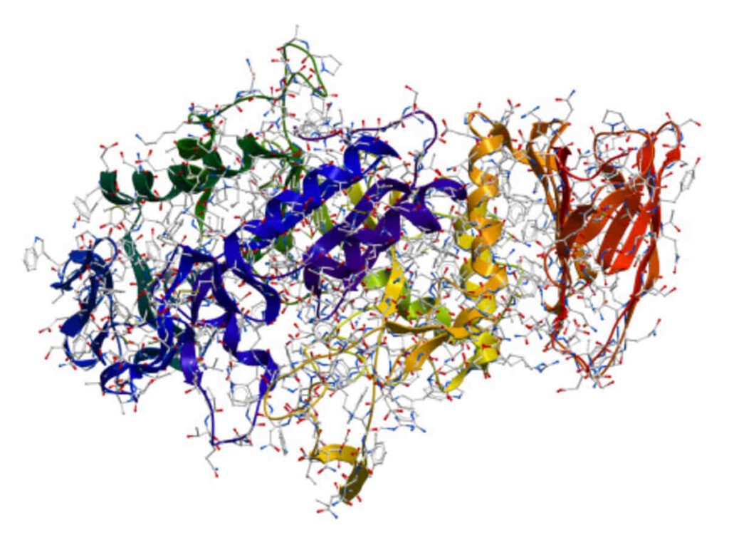 what is an enzyme