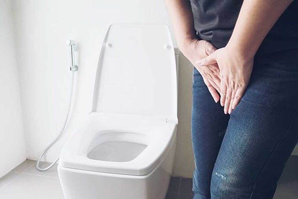 how to fix a loose toilet seat