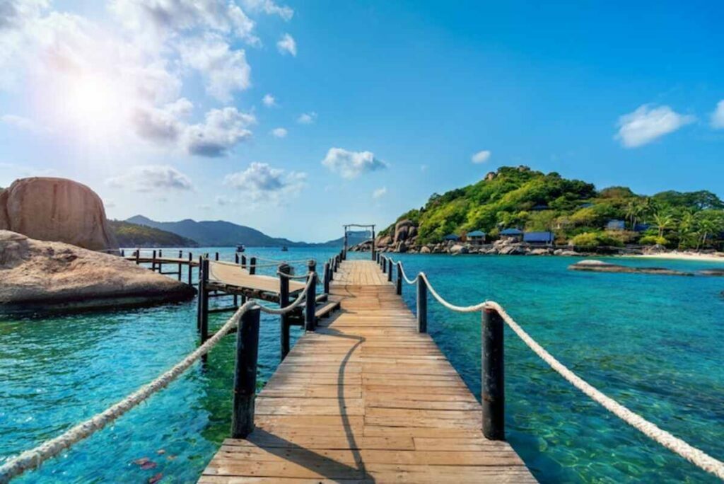 Olivia Cruises Reviews