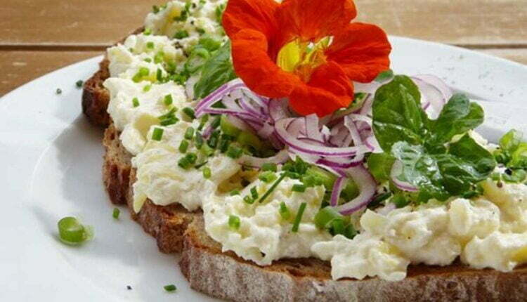 cream cheese