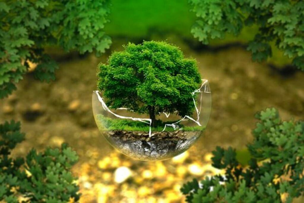 ecoa