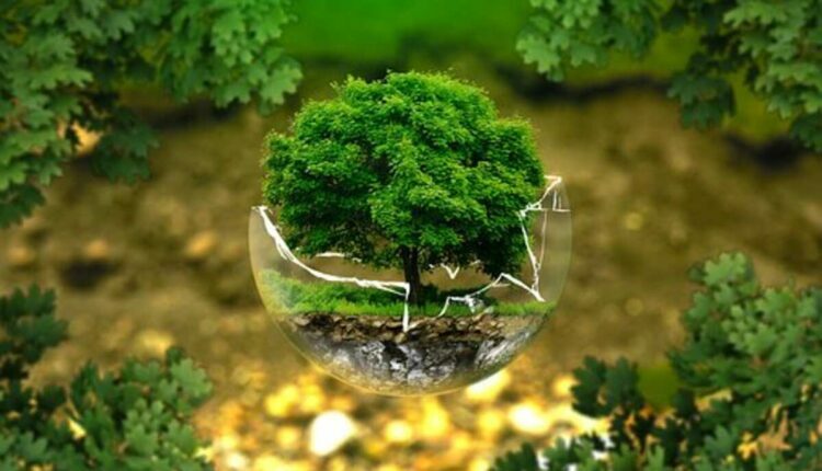 ecoa