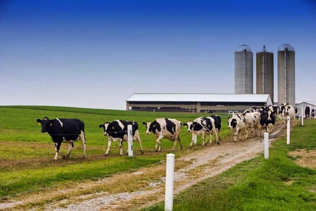 family farm and home defiance ohio