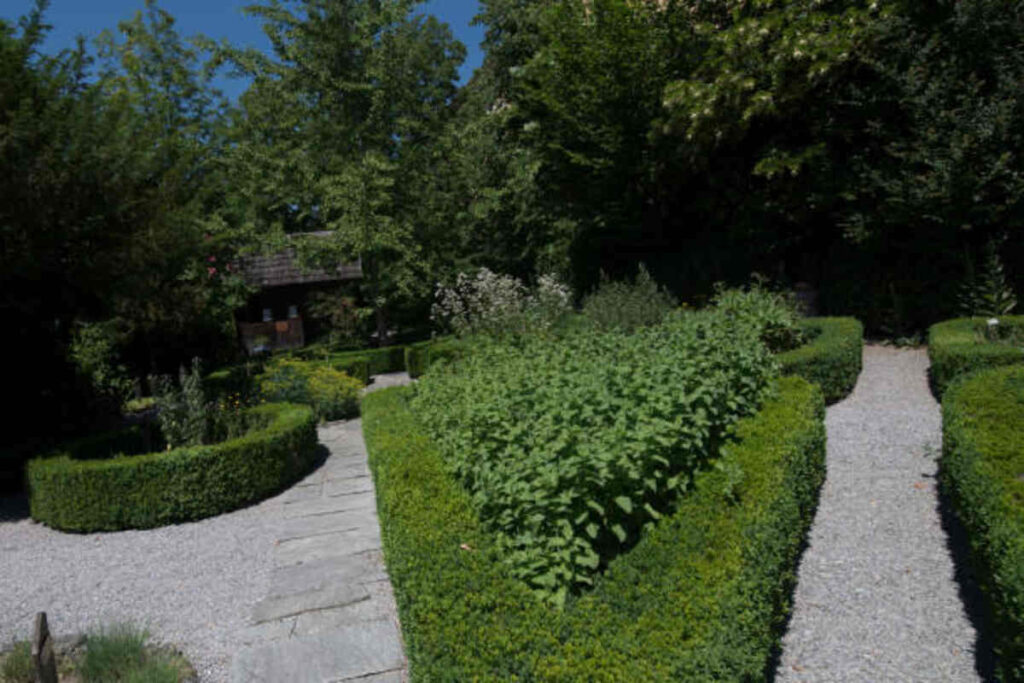 Marvin's Garden