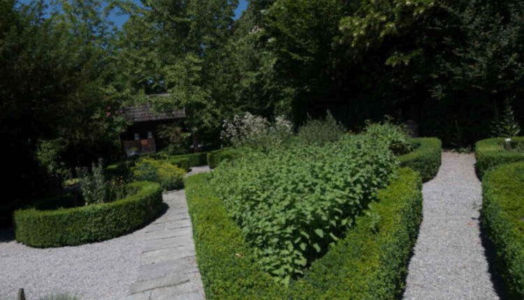 Marvin's Garden