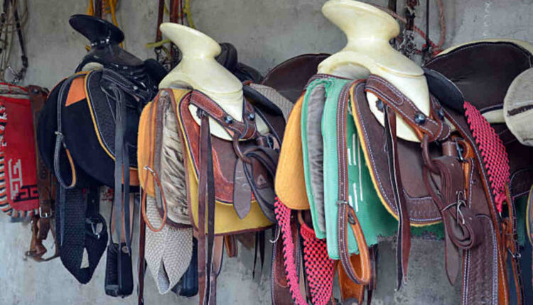 One Stop Equine Shop - Equestrian Stock