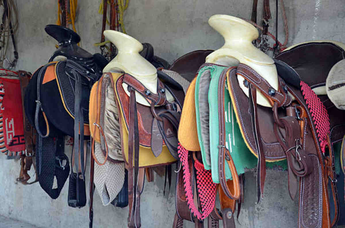 One Stop Equine Shop - Equestrian Stock