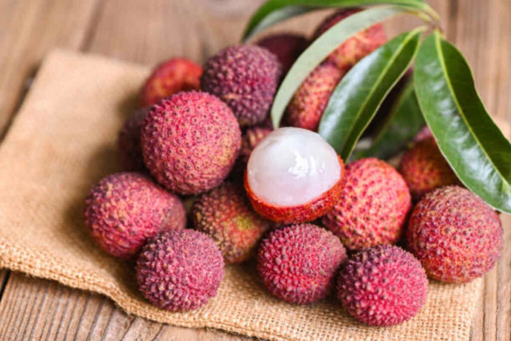 Litchi Fruit in Tamil