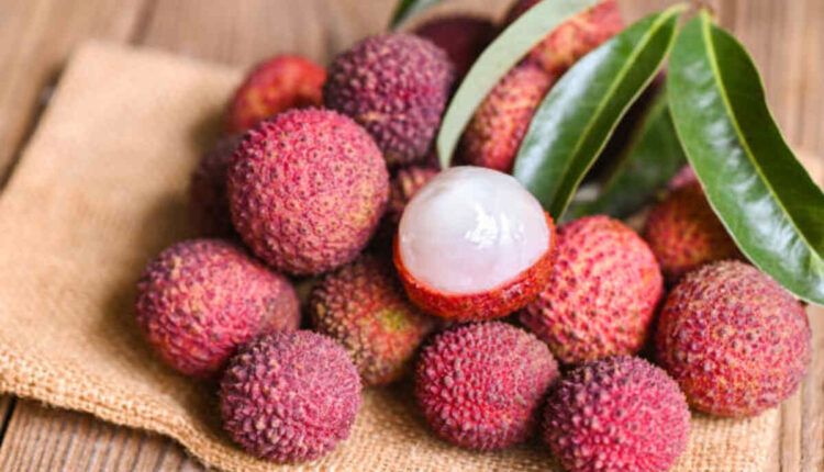 Litchi Fruit in Tamil