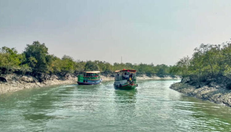How to Reach Sundarban National Park