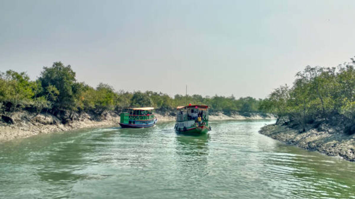 How to Reach Sundarban National Park